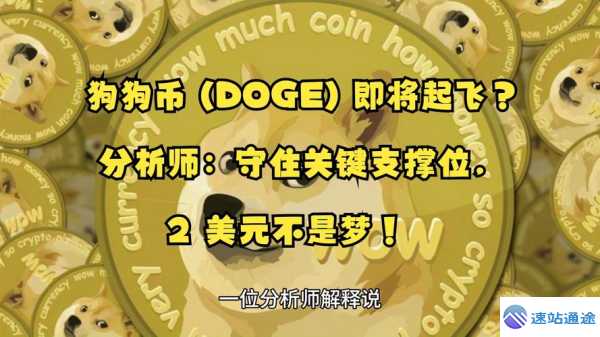 新手关于狗狗币的9个核心疑问答案全解析
