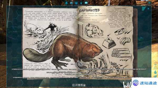 探秘何为以太坊的神秘世界与独特魅力