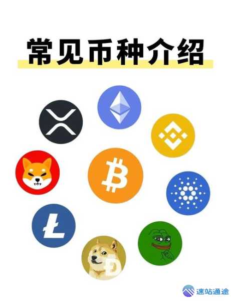 探秘未来最具潜力的币种究竟有哪些