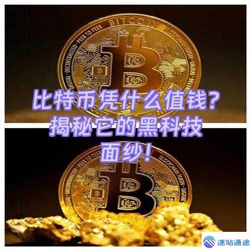 揭秘十大虚拟币最新排名及价格详情