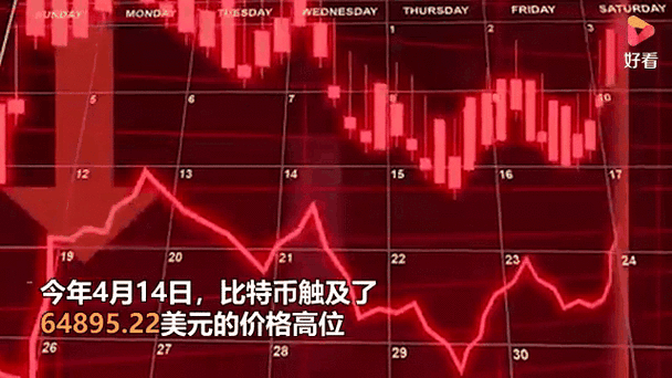 实时追踪比特币兑美元价格动态