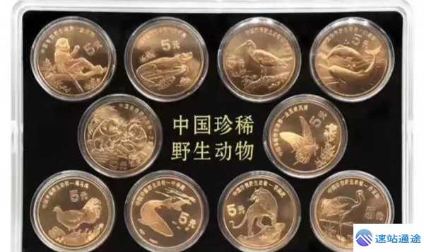 探索未来最具价值的币究竟花落谁家