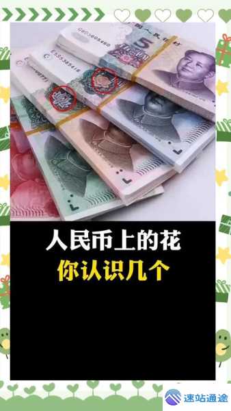 探索未来最具前景的币究竟花落谁家