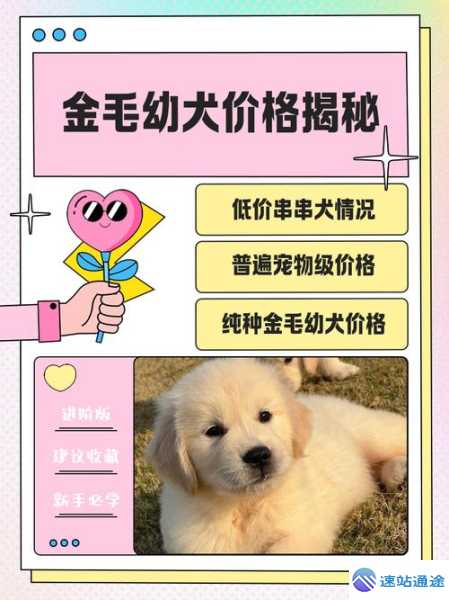 狗市场价多少钱一斤大揭秘