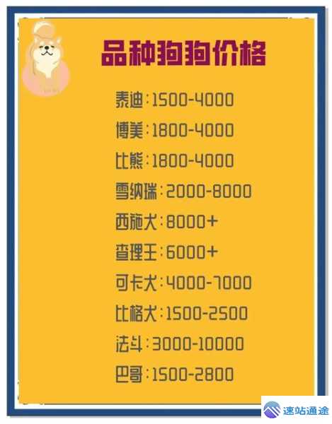 狗狗今日最新价格行情大揭秘