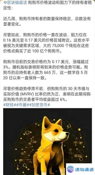 狗狗币12月能否一飞冲天涨到25美元