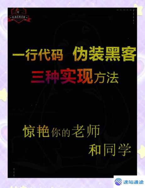 探索交易所代码背后的神秘世界