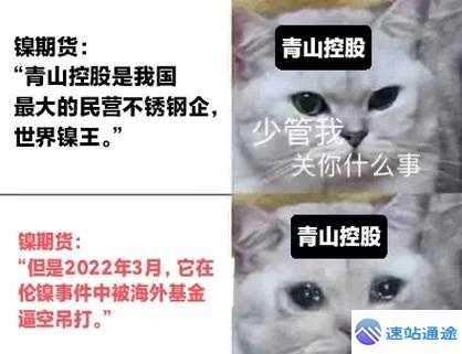 探秘期货交易所有几家的神秘面纱 第1张 探秘期货交易所有几家的神秘面纱 第1张