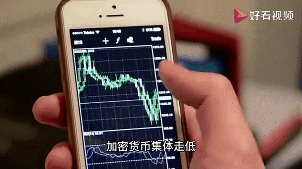 实时掌握虚拟币价格查询新动态