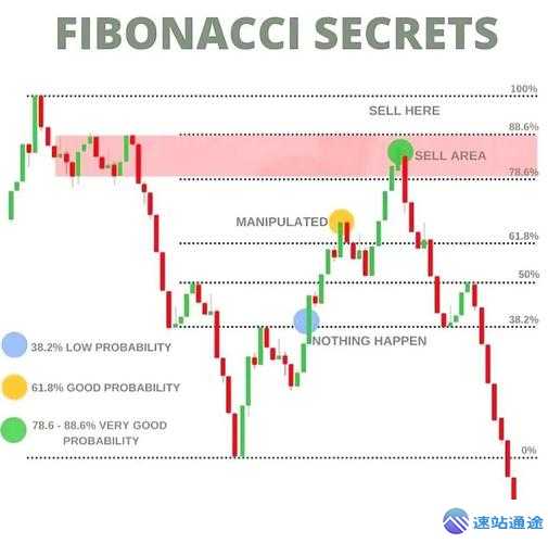 探秘虚拟货币交易网站的神奇世界与交易秘诀